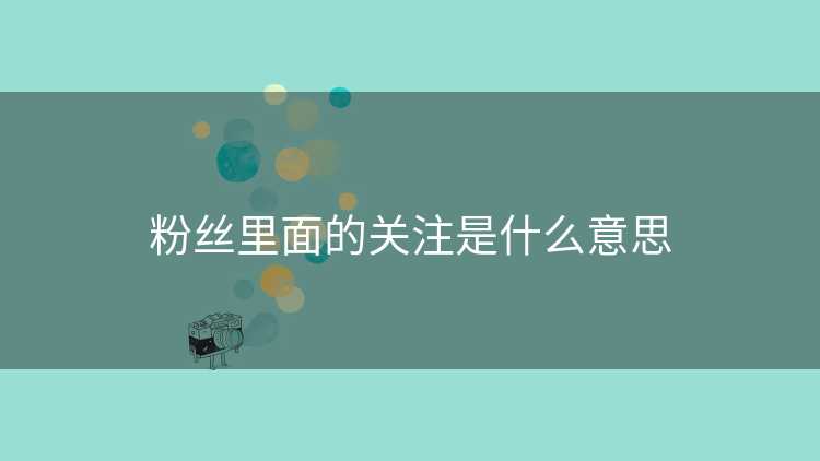 粉丝里面的关注是什么意思