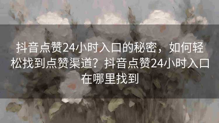 抖音点赞24小时入口的秘密，如何轻松找到点赞渠道？抖音点赞24小时入口在哪里找到