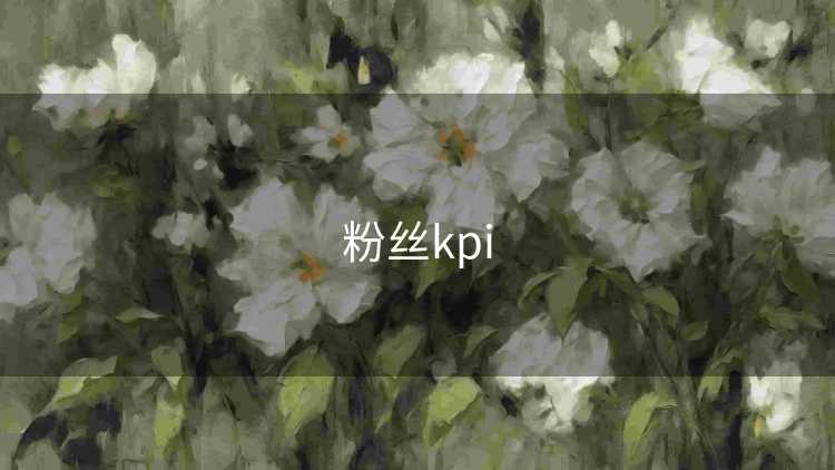 粉丝kpi