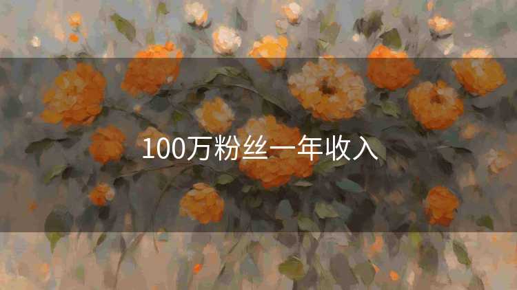 100万粉丝一年收入