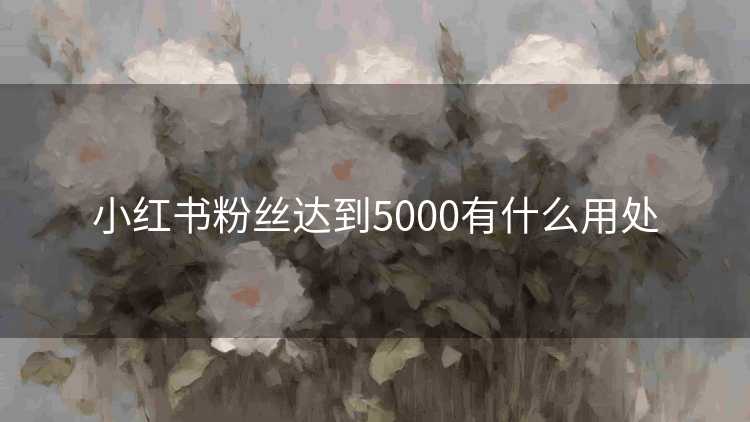 小红书粉丝达到5000有什么用处