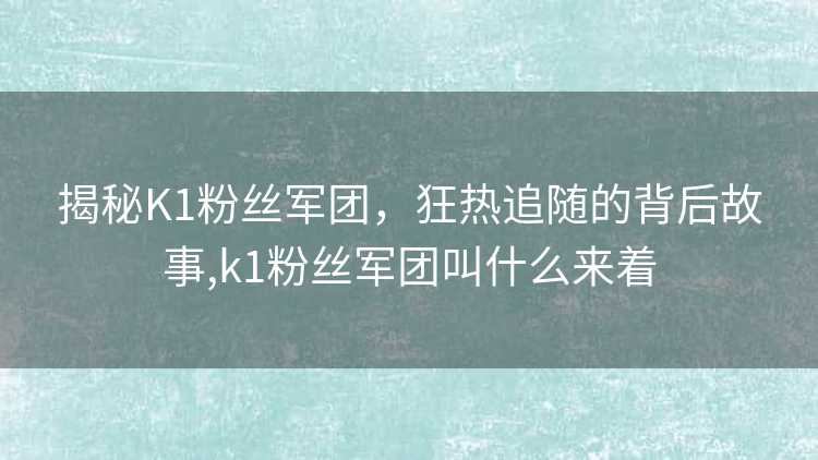 揭秘K1粉丝军团，狂热追随的背后故事,k1粉丝军团叫什么来着