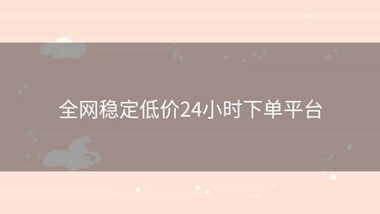 全网稳定低价24小时下单平台