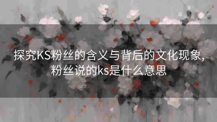 探究KS粉丝的含义与背后的文化现象,粉丝说的ks是什么意思