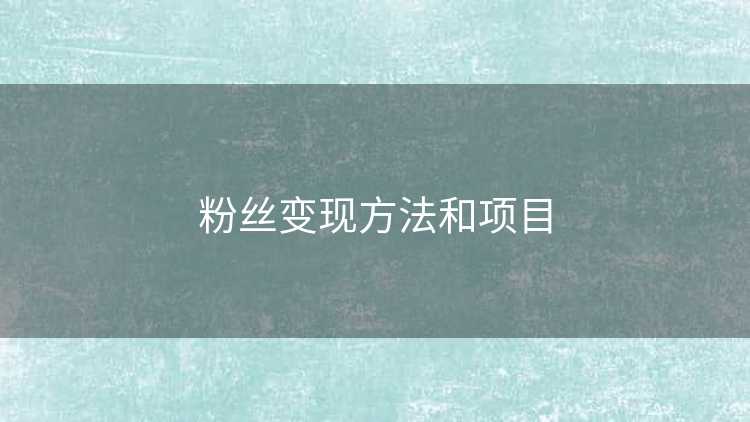 粉丝变现方法和项目