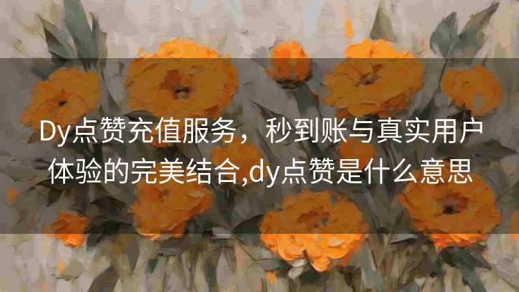 Dy点赞充值服务，秒到账与真实用户体验的完美结合,dy点赞是什么意思