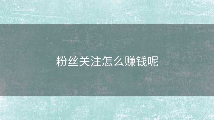 粉丝关注怎么赚钱呢