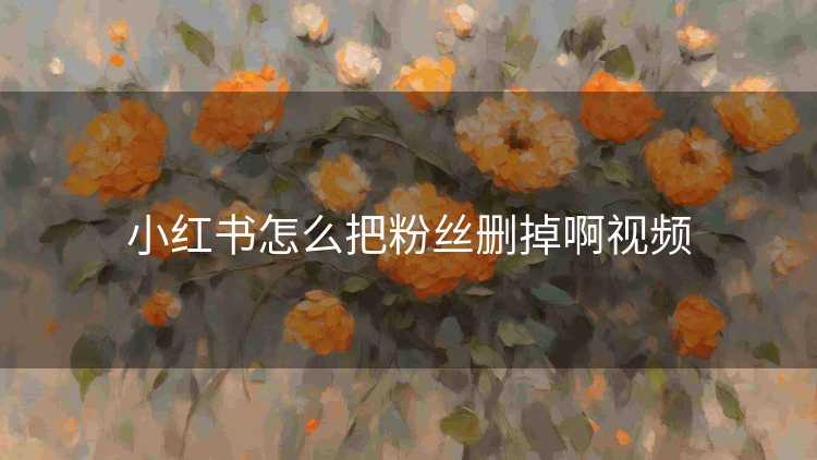 小红书怎么把粉丝删掉啊视频