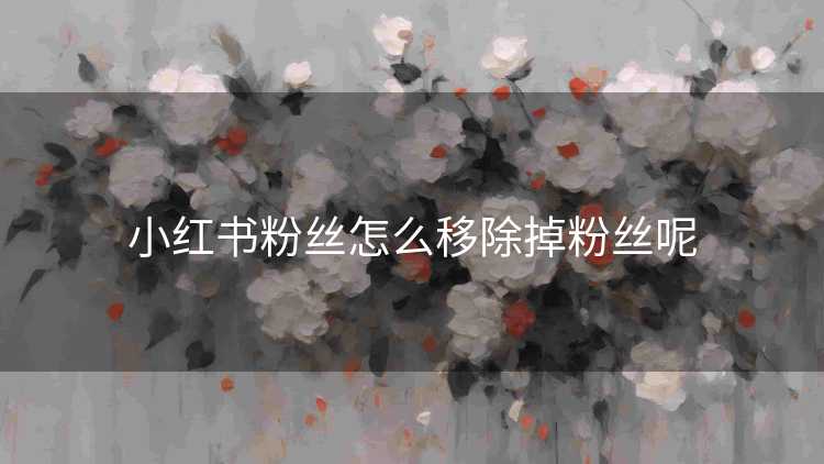 小红书粉丝怎么移除掉粉丝呢