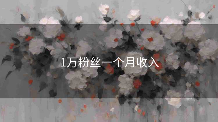 1万粉丝一个月收入