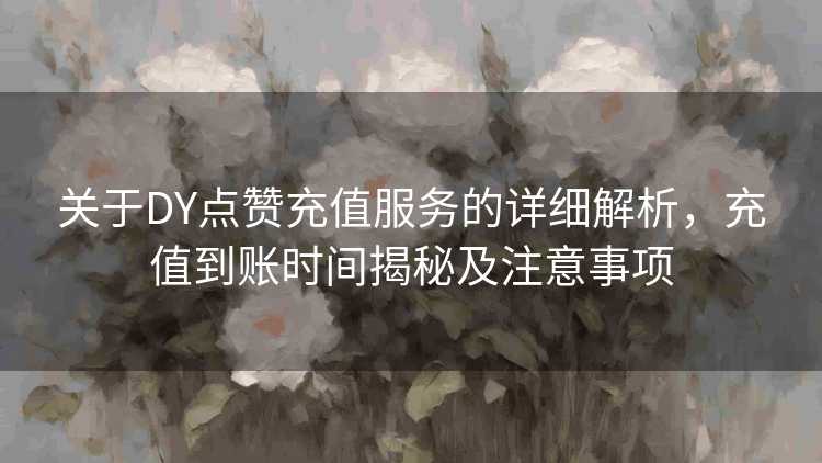 关于DY点赞充值服务的详细解析，充值到账时间揭秘及注意事项
