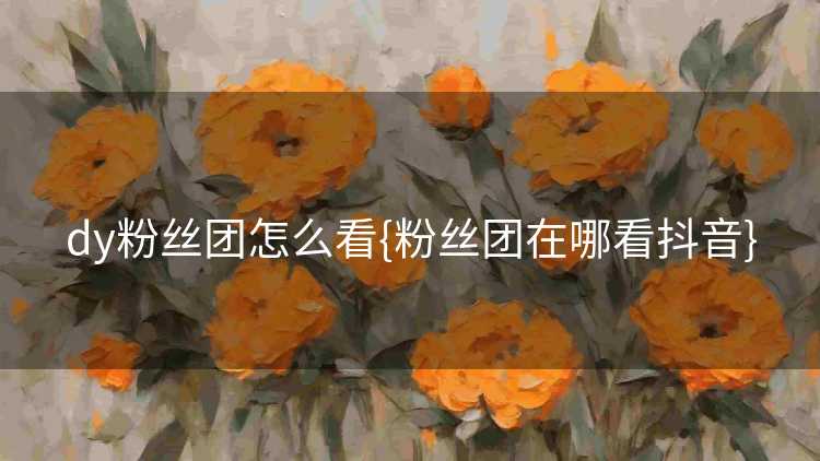 dy粉丝团怎么看{粉丝团在哪看抖音}