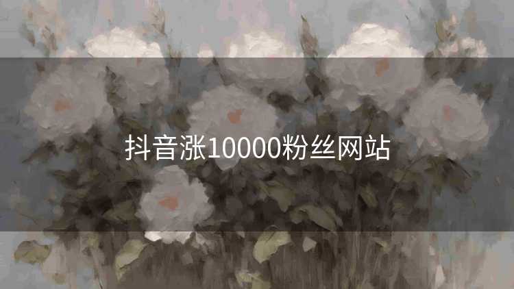 抖音涨10000粉丝网站