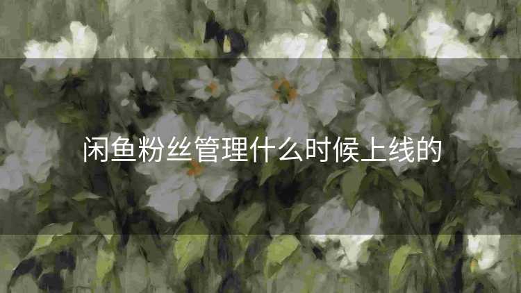 闲鱼粉丝管理什么时候上线的