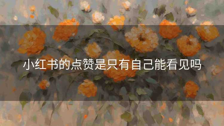 小红书的点赞是只有自己能看见吗