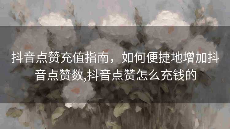 抖音点赞充值指南，如何便捷地增加抖音点赞数,抖音点赞怎么充钱的