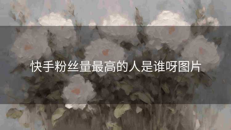 快手粉丝量最高的人是谁呀图片