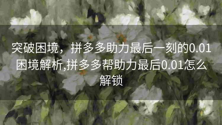 突破困境，拼多多助力最后一刻的0.01困境解析,拼多多帮助力最后0.01怎么解锁