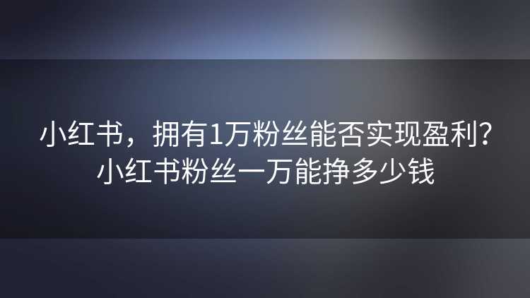 小红书，拥有1万粉丝能否实现盈利？小红书粉丝一万能挣多少钱