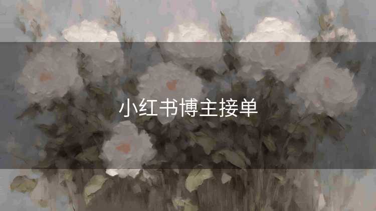 小红书博主接单