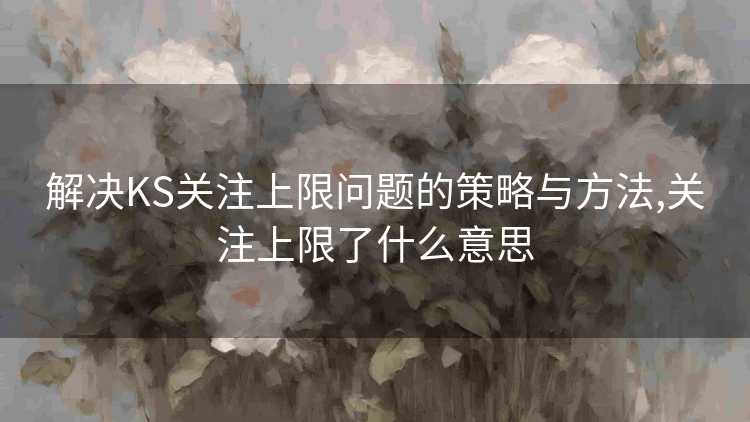 解决KS关注上限问题的策略与方法,关注上限了什么意思
