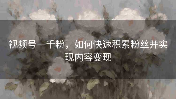 视频号一千粉，如何快速积累粉丝并实现内容变现