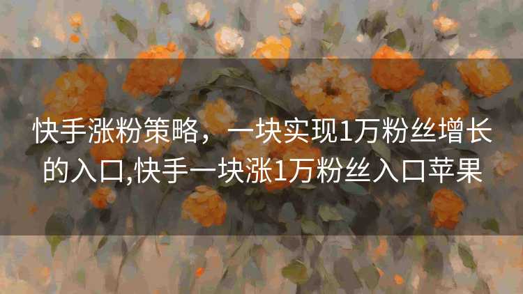 快手涨粉策略，一块实现1万粉丝增长的入口,快手一块涨1万粉丝入口苹果