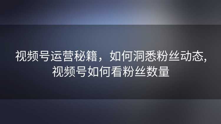 视频号运营秘籍，如何洞悉粉丝动态,视频号如何看粉丝数量