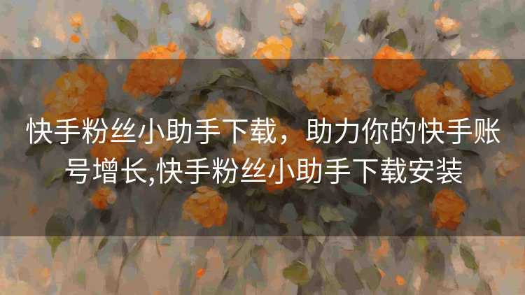 快手粉丝小助手下载，助力你的快手账号增长,快手粉丝小助手下载安装