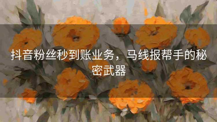 抖音粉丝秒到账业务，马线报帮手的秘密武器