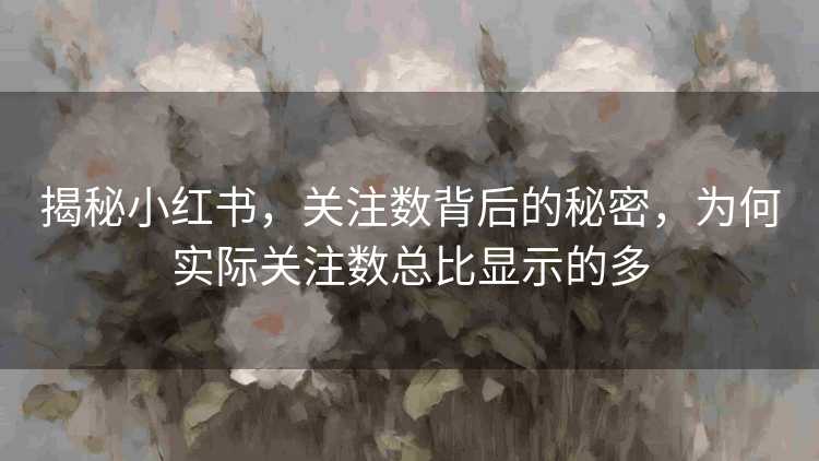 揭秘小红书，关注数背后的秘密，为何实际关注数总比显示的多