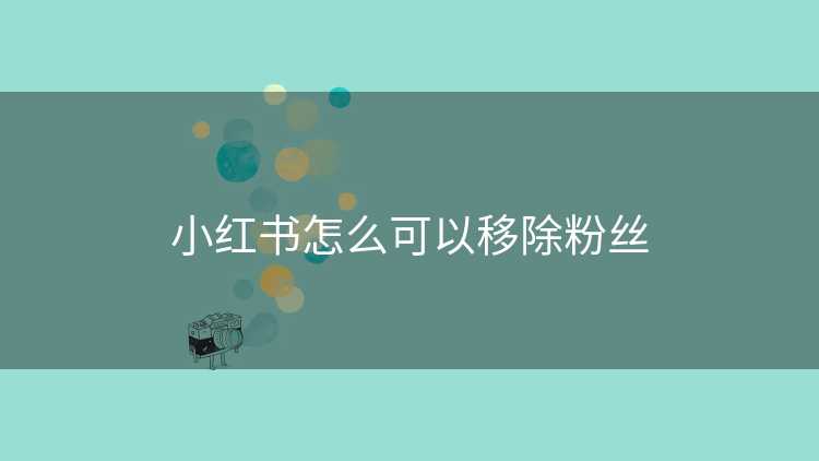 小红书怎么可以移除粉丝