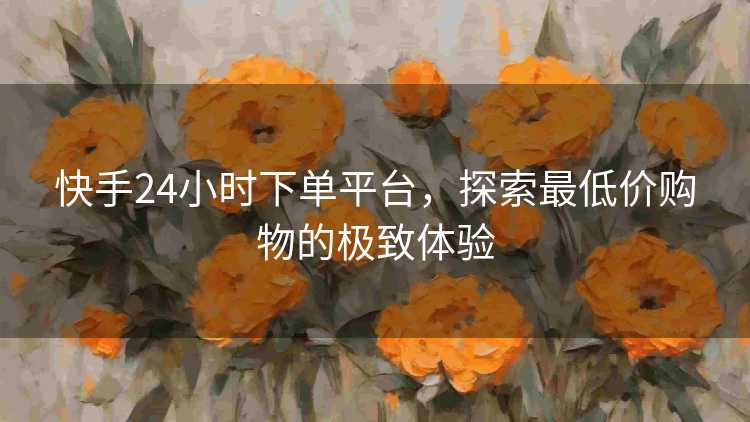 快手24小时下单平台，探索最低价购物的极致体验
