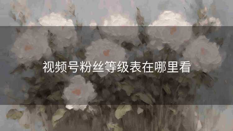 视频号粉丝等级表在哪里看