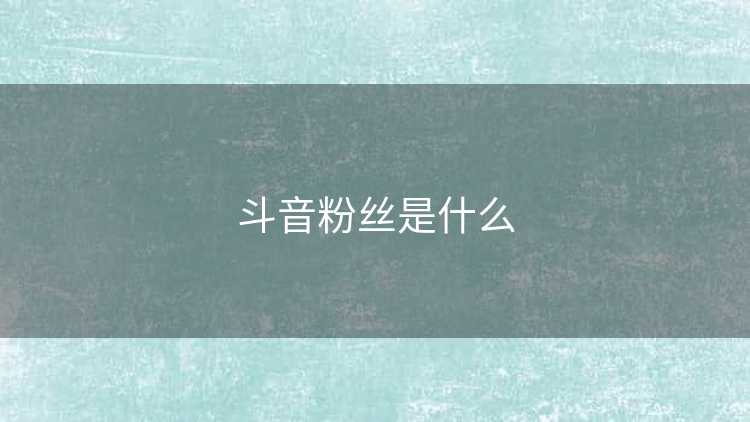 斗音粉丝是什么