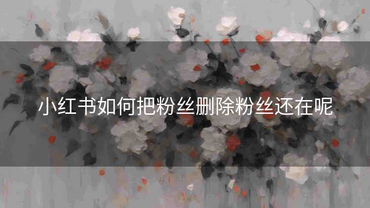 小红书如何把粉丝删除粉丝还在呢