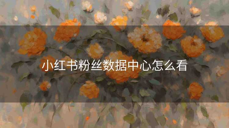 小红书粉丝数据中心怎么看