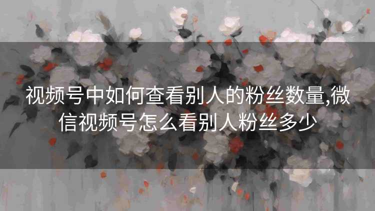 视频号中如何查看别人的粉丝数量,微信视频号怎么看别人粉丝多少