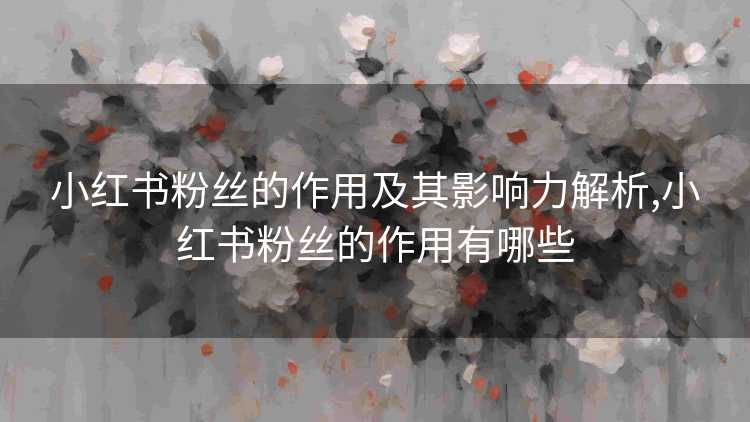 小红书粉丝的作用及其影响力解析,小红书粉丝的作用有哪些