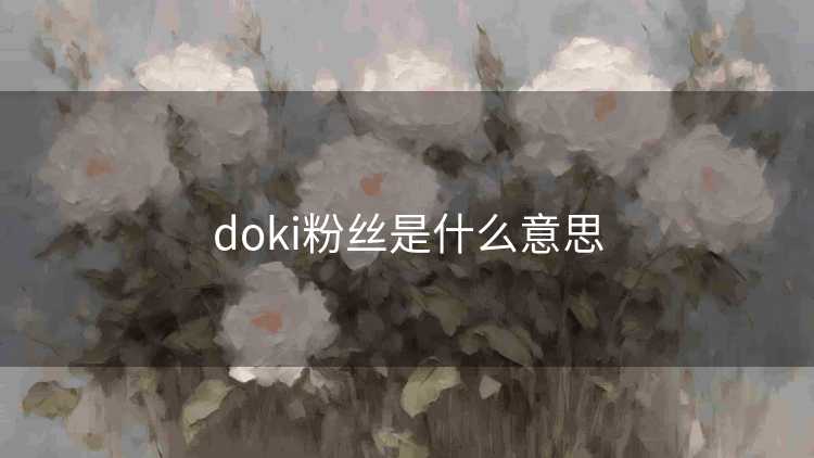 doki粉丝是什么意思