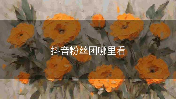 抖音粉丝团哪里看