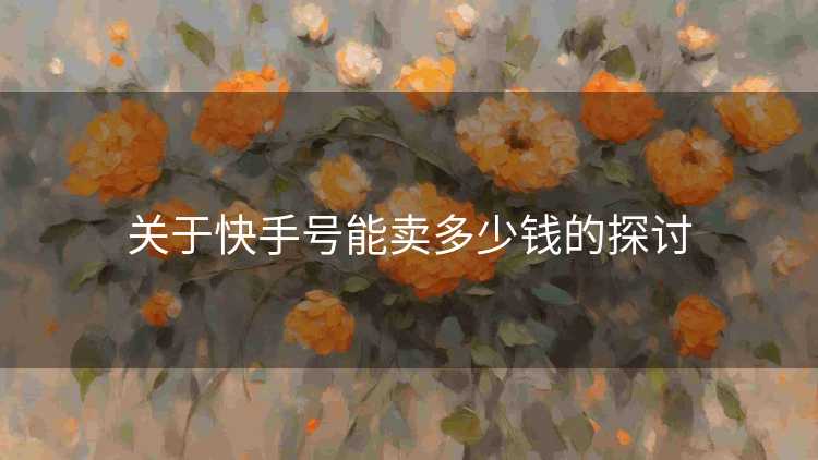 关于快手号能卖多少钱的探讨