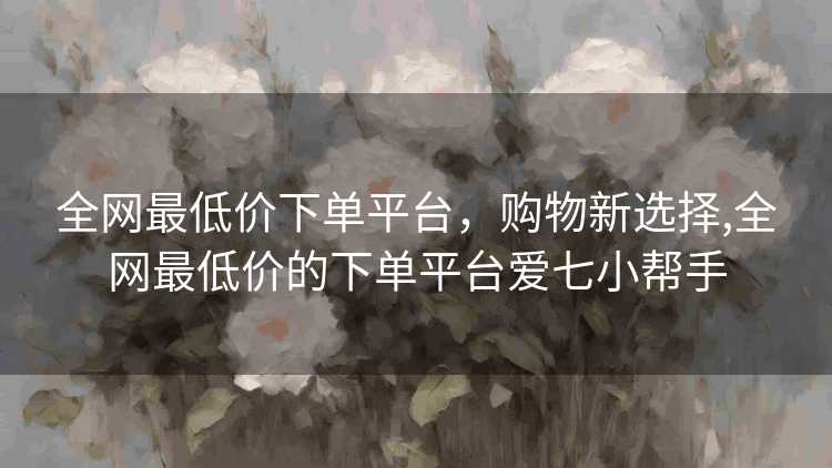 全网最低价下单平台，购物新选择,全网最低价的下单平台爱七小帮手