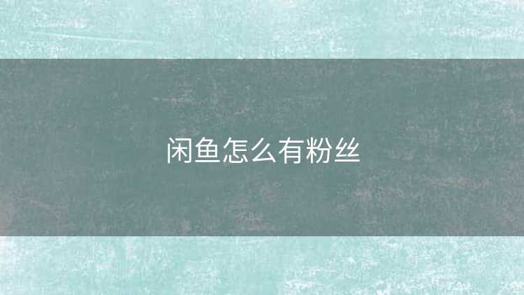 闲鱼怎么有粉丝