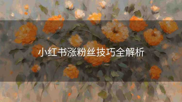 小红书涨粉丝技巧全解析