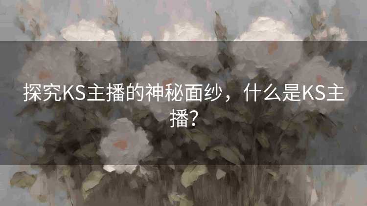 探究KS主播的神秘面纱，什么是KS主播？