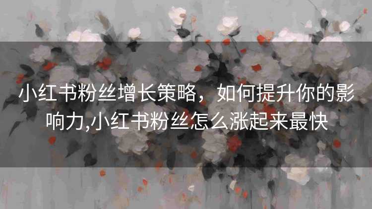 小红书粉丝增长策略，如何提升你的影响力,小红书粉丝怎么涨起来最快