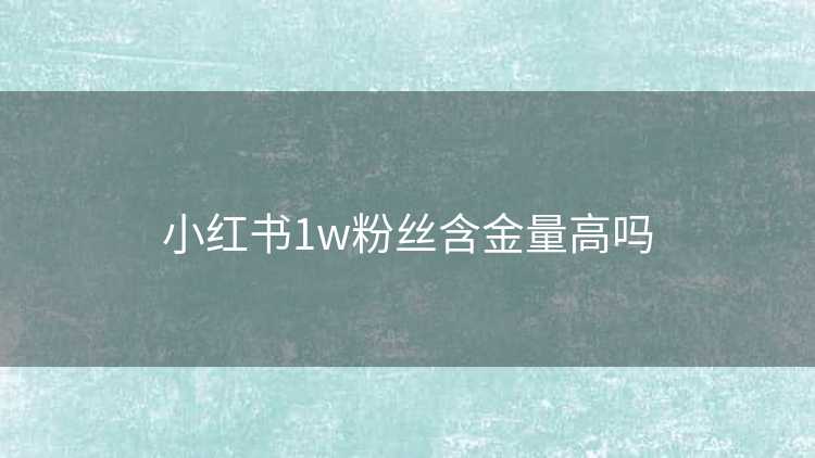 小红书1w粉丝含金量高吗