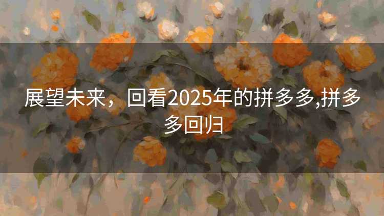 展望未来，回看2025年的拼多多,拼多多回归