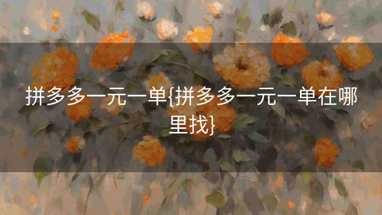 拼多多一元一单{拼多多一元一单在哪里找}